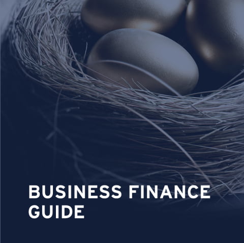 Business Finance Guide mockup 2